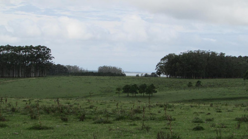 Chacra De 5has Cno. Del Anastasio - Altos De José Ignacio