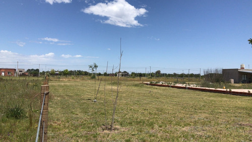 Imagen 8 de 14 de Vendo Lote En Saladillo