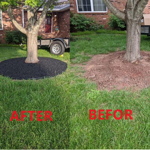 Limitador De Césped Separador Jardín 5cm×6m Incluir 18 Uñas