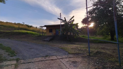 Vendo Finca En Tinaquillo Cojedes Mg