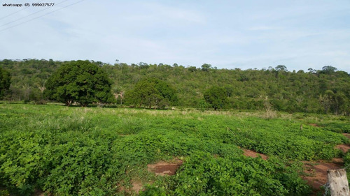 Imagem 4 de 6 de Terreno Para Venda Em Barão De Melgaço, Centro - 855_1-1877107