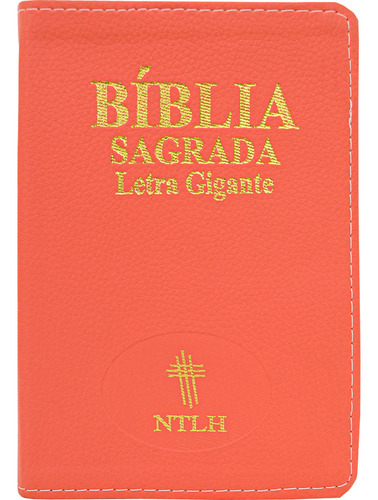 Bíblia Sagrada Capa Luxo Salmão Com Índice: Letra Gigante Ntlh, De Vários Cooperadores. Única, Vol. Único. Editorial Edifique, Capa Mole, Edição 1a Edição Em Português, 2024