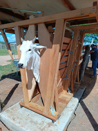 Tronco Básico, Brete Para Contenção Bovina.