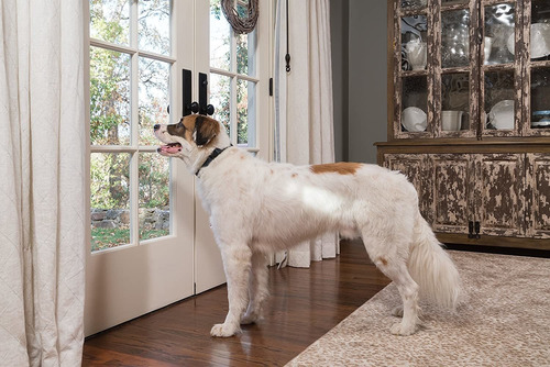 Collar Petsafe Recargable Control De La Corteza, A Prueba De