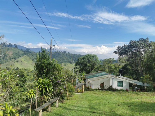 Imagen 2 de 13 de Finca - Boquia - A Cinco Minutos De Salento.