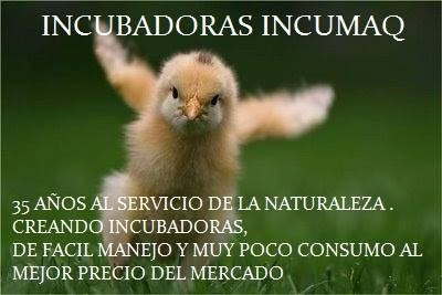 Incubadoras Volteo Mecanico 60 Huevos Pollo Codornis Pato Et