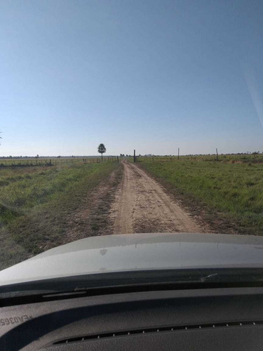 Vendo Campo Mixto De 14.100 Hectáreas ( Formosa. Argentina )