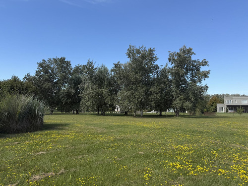 Venta Lote En Los Palenques, Manzanarez | Vco Propiedades
