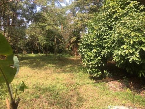 Chácara Com 1300m² No Jardim Aguapeu Em Itanhaém! - 5956