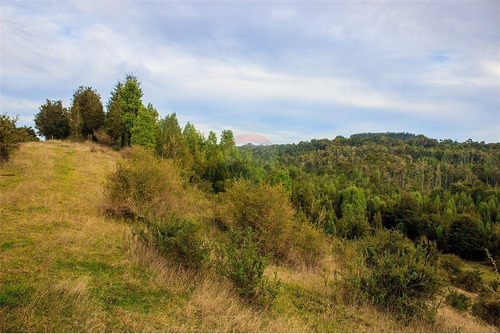 Imagen 21 de 30 de Parcela Disponible - Chiloe