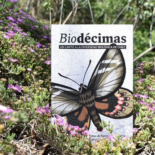 Imagen 1 de 6 de Biodécimas - Ramiro Bustamante