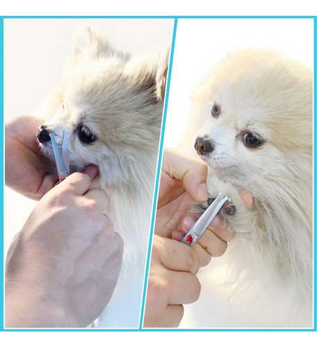 Tijeras De Aseo Para Mascotas Fogosp 4.5 Rectas Para Rostro