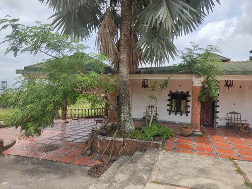 Imagen 10 de 14 de Vendo Finca San Felipe Dt