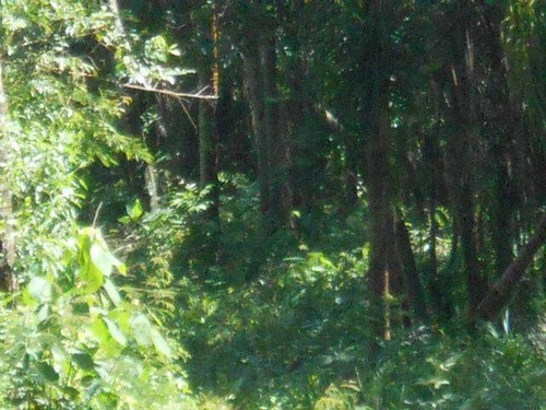Imagem 27 de 30 de Chácara Com 1 Dormitório À Venda, 21000 M² Por R$ 1.500.000,00 - Parque Rodrigo Barreto - Arujá/sp - Ch0012
