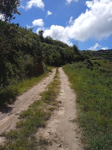 Imagen 13 de 13 de Terreno En Venta 13.5 Hectareas En Las Guamas Los Teques