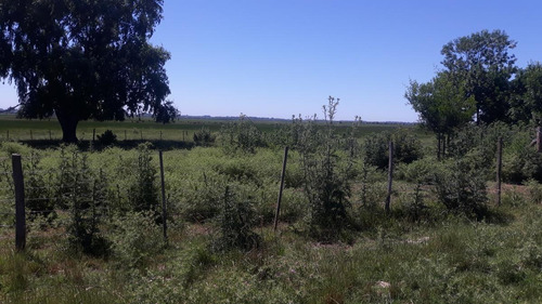 Imagen 12 de 15 de Campo Para Desarrollo Inmobiliario En Los Cardales - Reynolds Propiedades