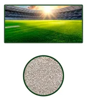 Comprar Semillas De Grass Bermuda Gobi Ibiza Rf \u002F De Climas Cálidos