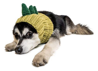 Disfraz De Dinosaurio Para Perro | MercadoLibre 📦 Disfraz De Dinosaurio Para Perro | MercadoLibre 📦