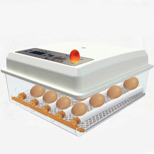 1 Incubadora De Ovos Incubadora Automática De 36 Ovos