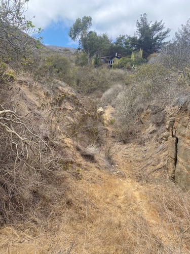 Imagen 14 de 14 de Sitio En Zapalllar En El Sector De El Cementerio