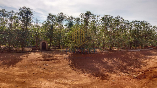 Imagem 5 de 15 de Fazenda Para Venda Em Ouro Fino, Centro - Fazenda 0_1-2237059