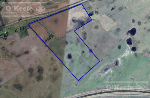 Campo En Venta De 77 Has En Saladillo - Agricola Ganadero
