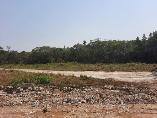 Imagem 3 de 8 de Lotes No Balneário Tupy Em Itanhaém, Com 125 M² De Área Total, Aceita Entrada Mais Parcelas