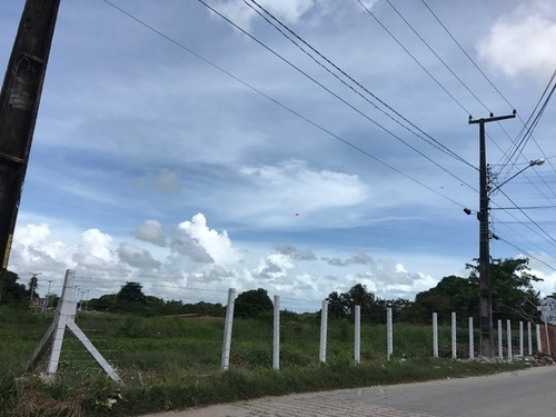 Terreno Para Alugar Na Cidade De Caucaia-ce - L11104