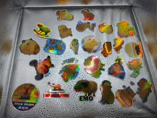 Capybara 50 Calcomanías Stickers Vs Agua Vinil Holográfico