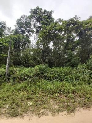 Imagem 2 de 7 de Terreno No Jd Coronel, Com 270 M². Itanhaém/sp | 7129-pc