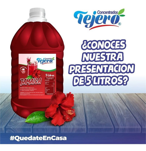 Jarabe Concentrado Tejero Galón De 5 Litros 1 Pieza Sabores