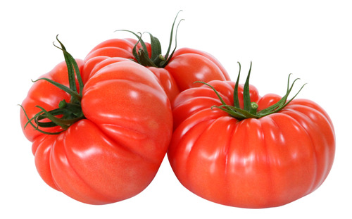 Tomate Marmande X  10.000 Semillas Calidad Profesional