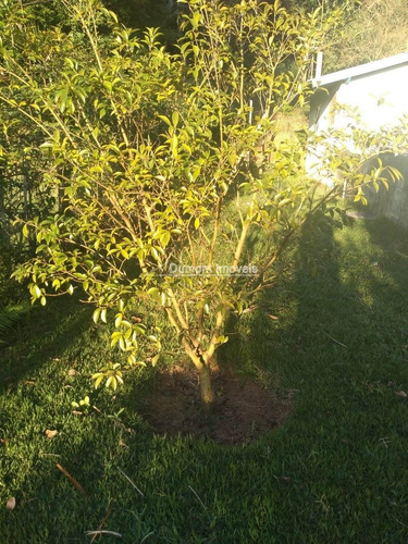 Imagem 6 de 14 de Chácara Aconchegante Com Toda A Simplicidade Do Campo.cód239
