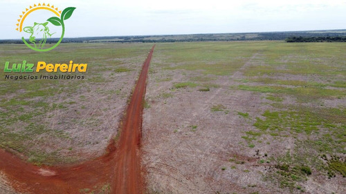 Imagem 13 de 15 de Fazenda À Venda Em Vale Do Araguaia - T0 -de 247 Alqueirões (dupla Aptidão) - 1763