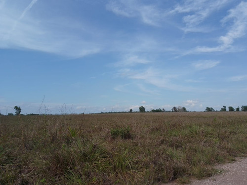 Te Vendo Finca En Bayaguana República Dominicana.