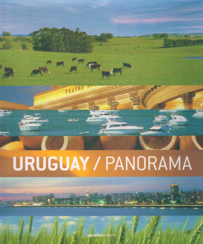 Uruguay / Panorama - Varios Gussi