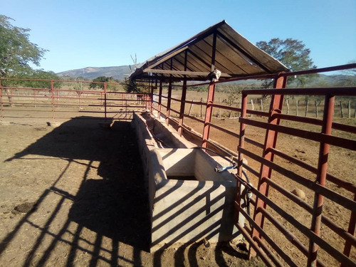 Imagen 13 de 14 de Finca Con 1.100 Hectáreas De Terreno Propio Tu Oportunidad