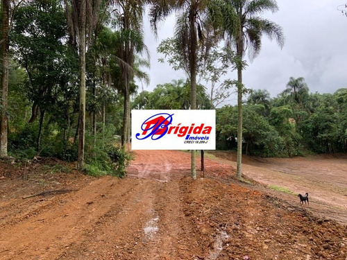 Imagem 14 de 15 de Excelente Terreno De 24.200 Metros, Prox. Do Km 26 Da Raposo Tavares, Cotia - Te87