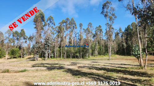Parcelas 5000 Mts Loteo Ancahual, Loncoche
