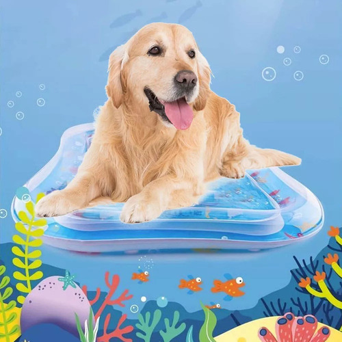 Estera Acuática Para Gatos Estera Agua Sensorial Con Peces