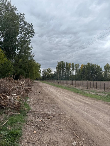 Cocucci Inmobiliaria Vende Finca En Tunuyan