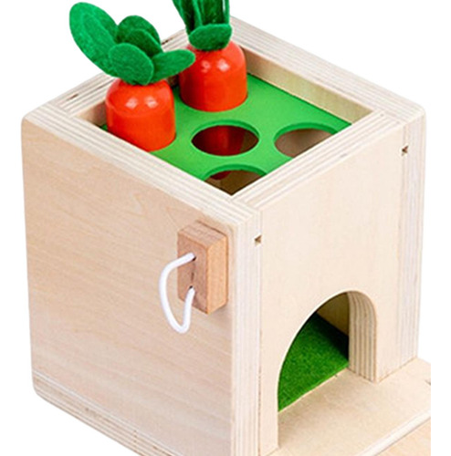 Caja De Permanencia De Objetos Juguetes De Aprendizaje De