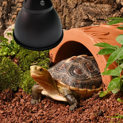 Lámpara De Cúpula Para Reptiles Lámpara De Calor Para Reptil
