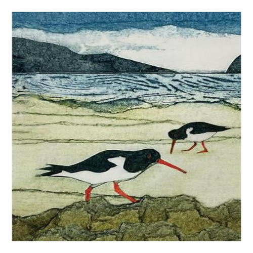 Wild Birds Pocket Notebook: Oystercatcher - Sarah Ross-. Eb8