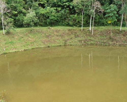 Imagem 9 de 30 de Fazenda Bem Localizada À Venda Em Juquitiba. - 15 - 32982853