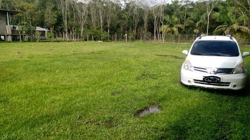 Imagem 13 de 19 de Chácara À Venda Em Juquitiba Com Lago E Riacho Ótimo Acesso