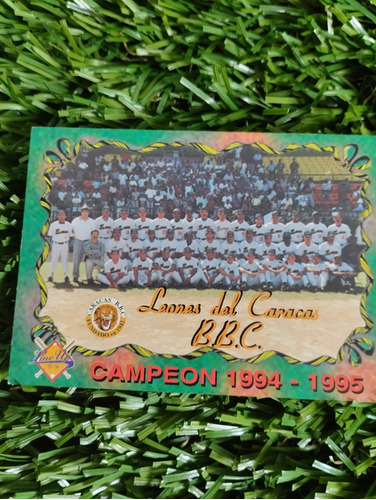 Campeón 1994-1995 Leones Del Caracas#264