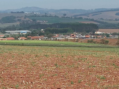 Imagem 4 de 12 de O07- Terrenos Com Documentação Ok