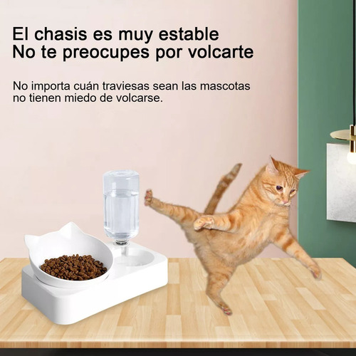 P Automático Bebedero Dispensador Alimento For Mascotas