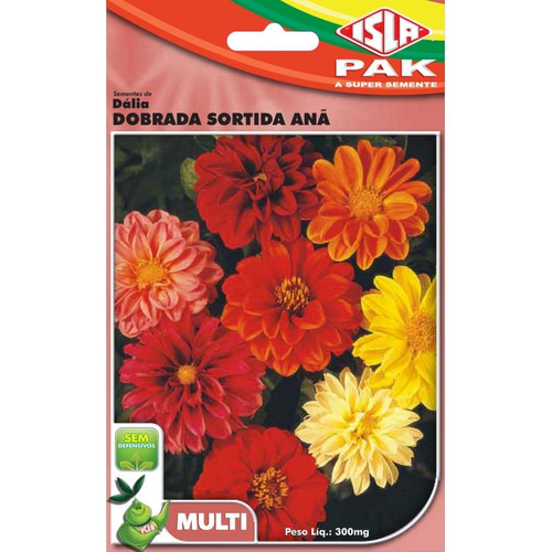 Sementes De Flor Dália Dobrada Sortida Anã Isla | MercadoLivre